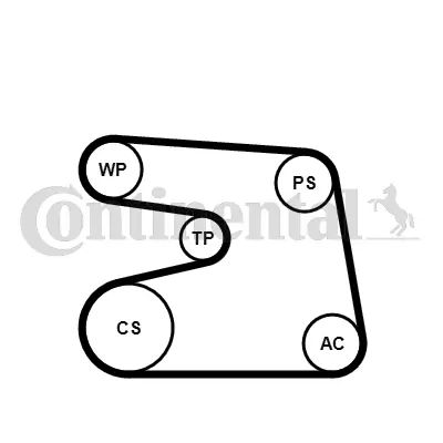 Water Pump + V-ribbed Belt Kit